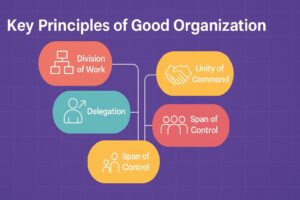Key Principles of Organization for Effective Management