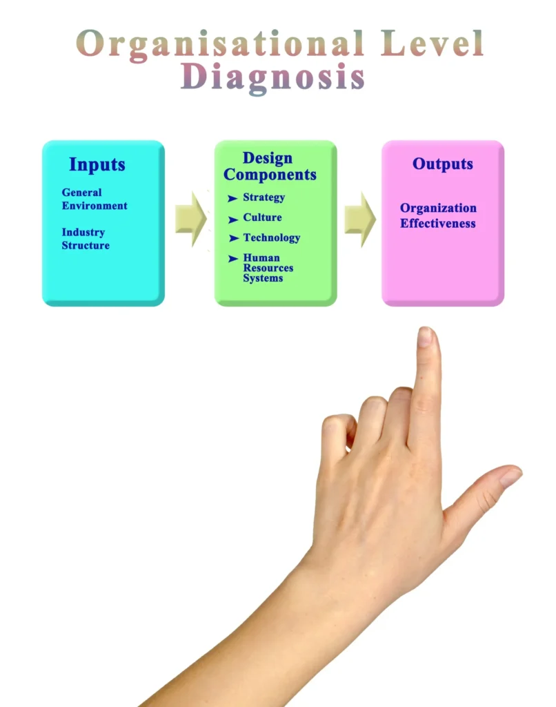Organisational Level Diagnosis